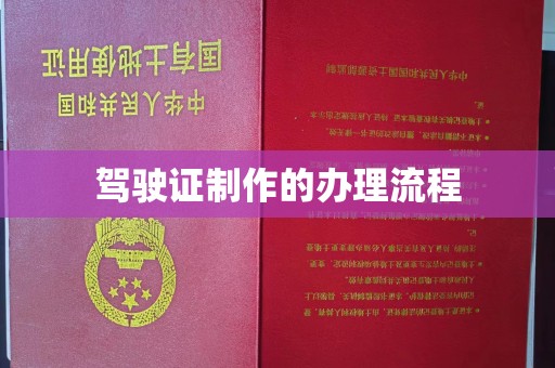 永丰驾驶证制作的办理流程